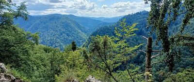 Bańków Gronik ↔ Burzana