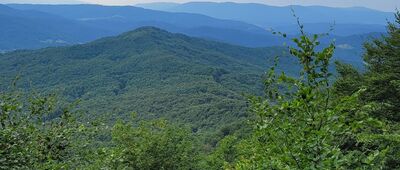Stryb ↔ Przełęcz nad Roztokami, rozejście szlaków