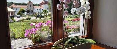 Krasnobród, zespół klasztorny ↔ Krasnobród, Zachoiny