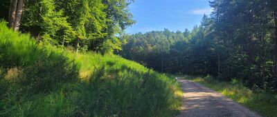 Wejherowo, rondo Mirona Łukowicza ↔ Rekowo Dolne