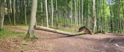 Wejherowo, rondo Mirona Łukowicza ↔ Rekowo Dolne