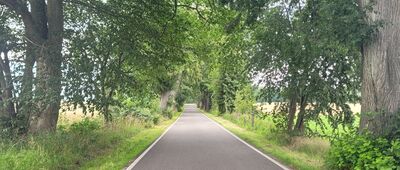 Osłonino ↔ Rzucewo [Droga Osłonino - Rzucewo]