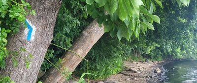 Rzucewo ↔ Puck, Rozgard ["Plażowy" odcinek szlaku]