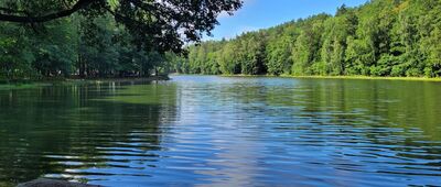 Jezioro Dobre ↔ Droga Krokowa [Jezioro Dobre]