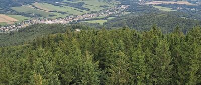 Zlatý Chlum, rozhledna