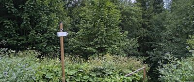 Pokazowa Zagroda Żubrów w Mucznem