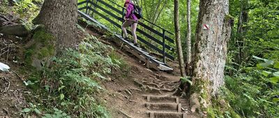 Jeleniowaty, wieża widokowa ↔ Muczne, arboretum