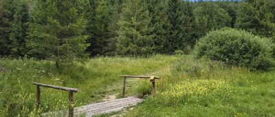 Rozejście ścieżek