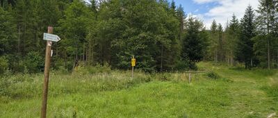 Dolina potoku Muczne