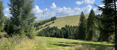 Košariská ↔ Tvrdošín