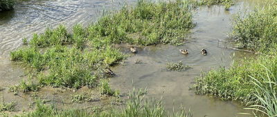 Za Lavičkou ↔ Nižná