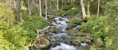 Rozejście szlaków ↔ Brestová, skanzen