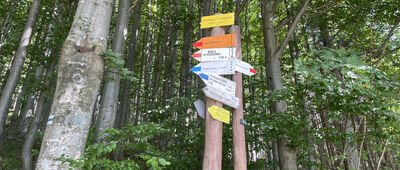 Przełęcz Przegibek