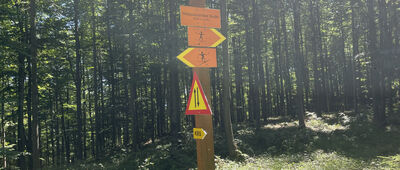 Łomnica-Zdrój, Króle ↔ Schronisko PTTK Hala Łabowska