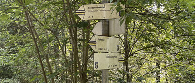 Królowa ↔ Lipnica Wielka, Kiczory