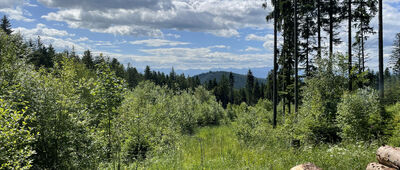 Stańcowa ↔ Królowa