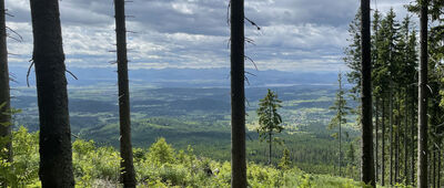Południowy Płaj ↔ Stańcowa
