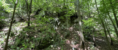 Odbočka k Šútovskému vodopádu ↔ Rieka