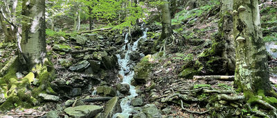 Odbočka k Šútovskému vodopádu ↔ Rieka