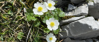 Snilovské sedlo ↔ Chleb