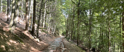 Chata pod Chlebom ↔ Zajacová