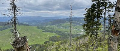 Svorad ↔ Prosečné, hrebeň