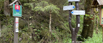 Dolina Borovianky, rázc.