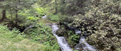 Dolina Borovianky, rázc.