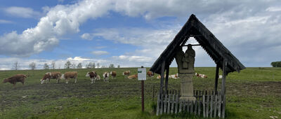 Ożenna ↔ Ożenna, cmentarz wojenny