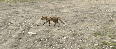 Żydowskie, oczko wodne