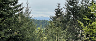 Wielki Lipnik ↔ Za Kvasníkom