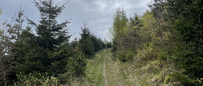 Za Kvasníkom ↔ Veterný vrch, rázc.