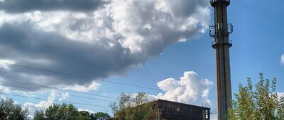 Kamień Łukawski, pętla autobusowa ↔ Dwikozy, Zarzecze [W Dwikozach]