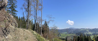 Dolný Kubín ↔ Koliesko