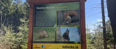 Koliesko ↔ Chata na Kubínskej holi