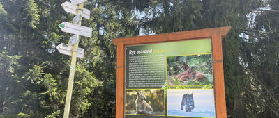 Chata na Kubínskej holi