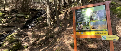 Kubínska hoľa, rázc. ↔ Kubínska hoľa, sedlo