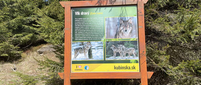 Kubínska hoľa, sedlo