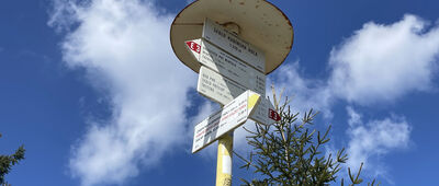 Kubínska hoľa, sedlo