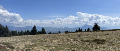 Rázcestie pri Minčole ↔ Kubínska hoľa, sedlo