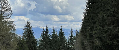 Bucľov ↔ Kamenný závoz