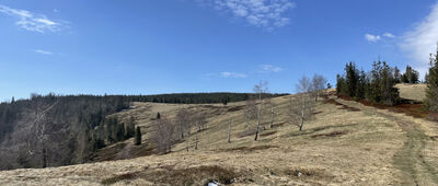 Hala Radziechowska ↔ Węgierska Górka