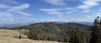 Magurka Radziechowska ↔ Hala Radziechowska