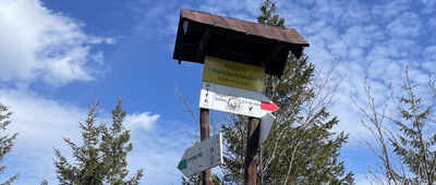 Magurka Radziechowska