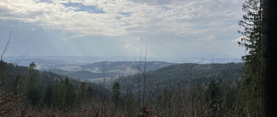 Ponice ↔ Las Pański