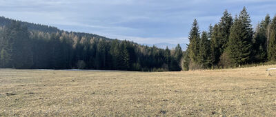 Zarębki ↔ Jordanów, stacja paliw