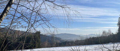 Zarębki ↔ Rozejście szlaków
