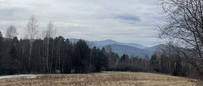 Osielec ↔ Polana Gronie