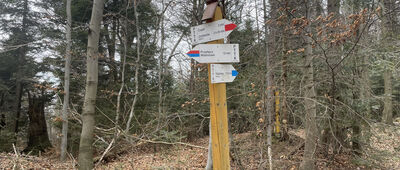 Pod Drobnym Wierchem