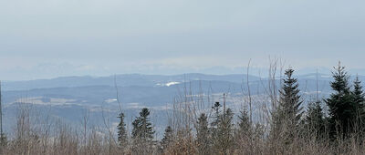 Cupel ↔ Bystra Podhalańska